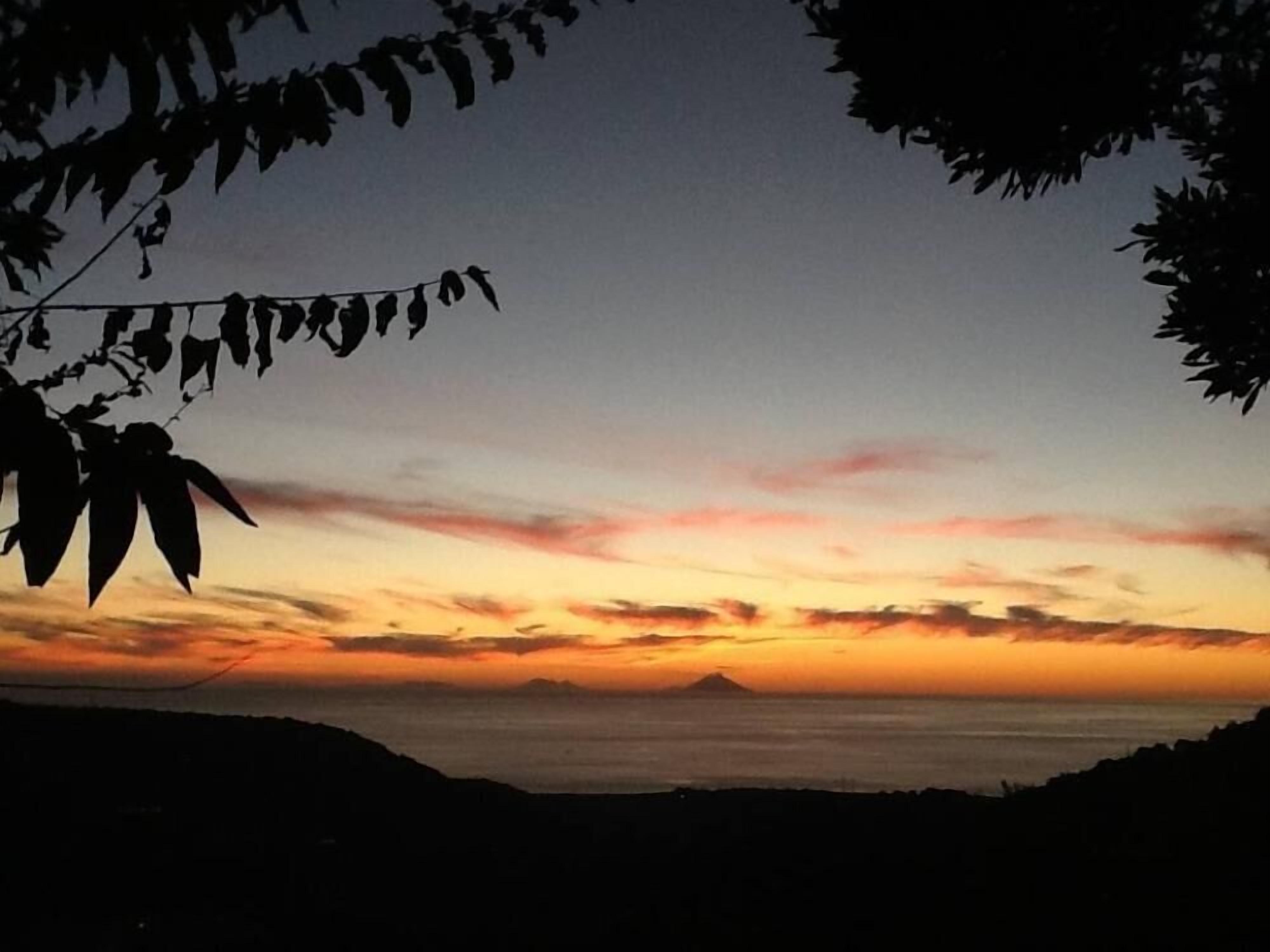 A sunset view with silhouettes of trees and a mountain in the distance.