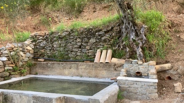 SPA
