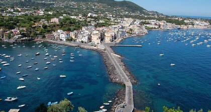 apartment/ flat - 2 rooms - 2/5 personsHouse with garden