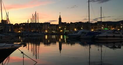 Superb sea view over SANARY bay, spacious, quiet, terrace, air-conditioned, EVERYTHING ON FOOT