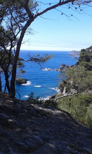 On the beach - RENTAL VILLA SEASIDE BEACH FACING, PANORAMIC SEA (Six-Fours-Les-Plages)