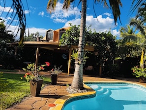 Una piscina con borde de azulejos, rodeada por un patio con plantas en macetas y una palmera.