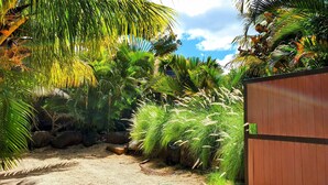 Un jardin tropical à la végétation luxuriante, avec une clôture en bois et un chemin de gravier.