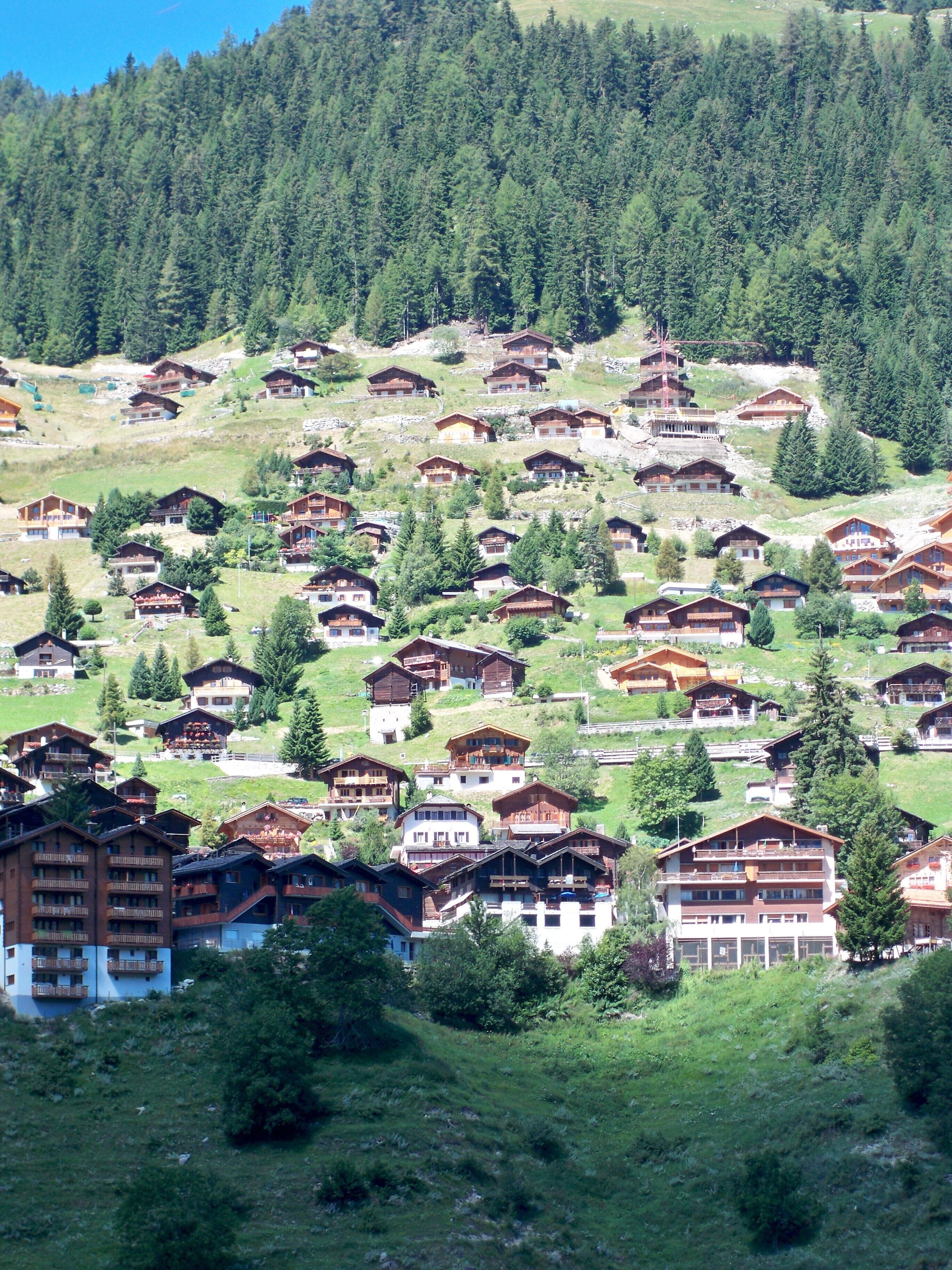 A cluster of traditional wooden chalets on a hillside, surrounded by dense forest.