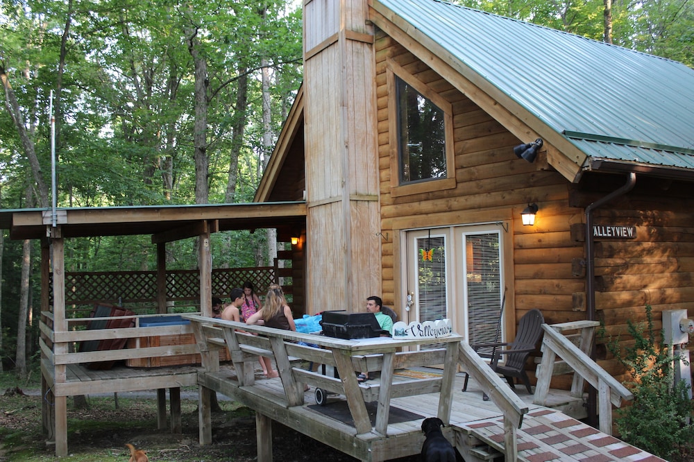 Valley View Cabin with show-stopping vaulted ceilings!