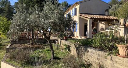 Charming country house in the Provencal countryside among vineyards and olive trees