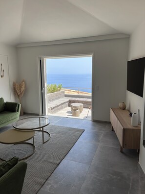 TV, DVD player, books, stereo - Luxury villa 5 * panoramic sea view private heated pool + SPA (Conca)
