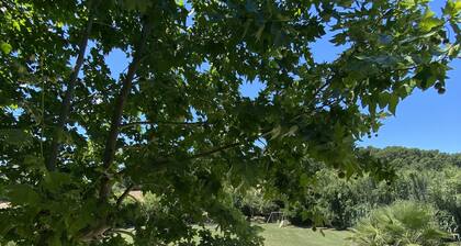 GRANDE VILLA CLIMATISEE