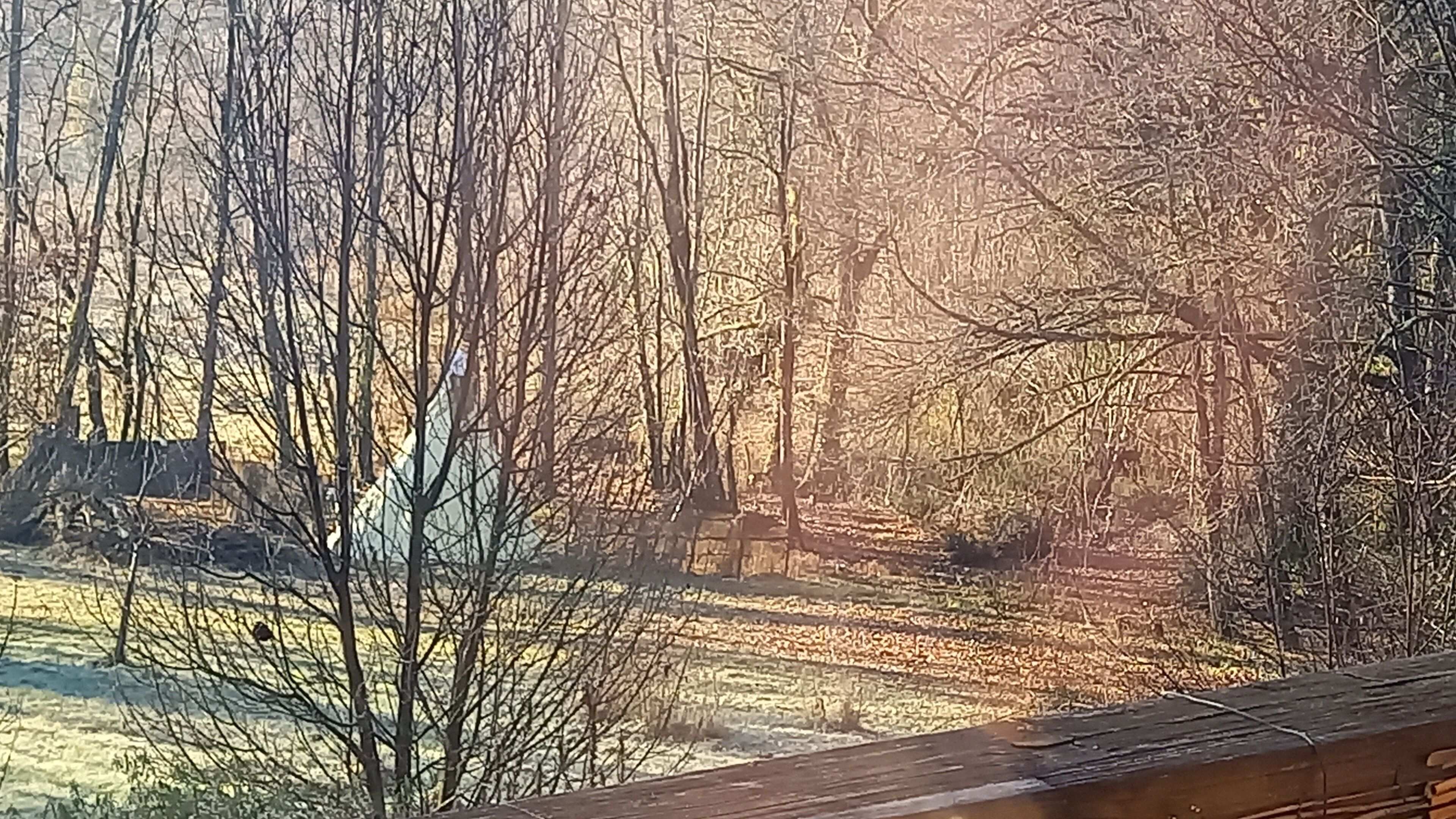 Yksityiskohta sisätiloista