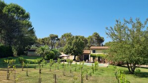 A villa with a swimming pool, surrounded by a vineyard and lush greenery. - 5-star rated air-conditioned house with swimming pool for 6 (Cabriès)