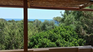 Vista desde un espacio al aire libre techado con estructura de madera, con vistas a un bosque frondoso y un cielo azul despejado.