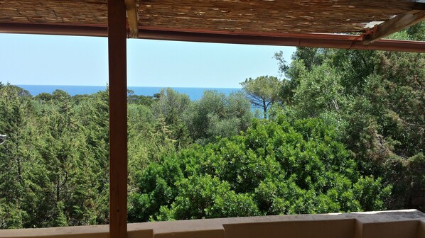 A view from a covered outdoor area with a wooden structure overhead, overlooking a dense forest and a clear blue sky.