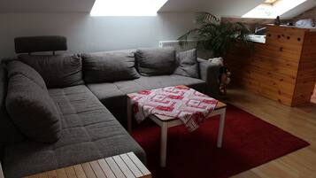 Smart TV, DVD player, books, stereo