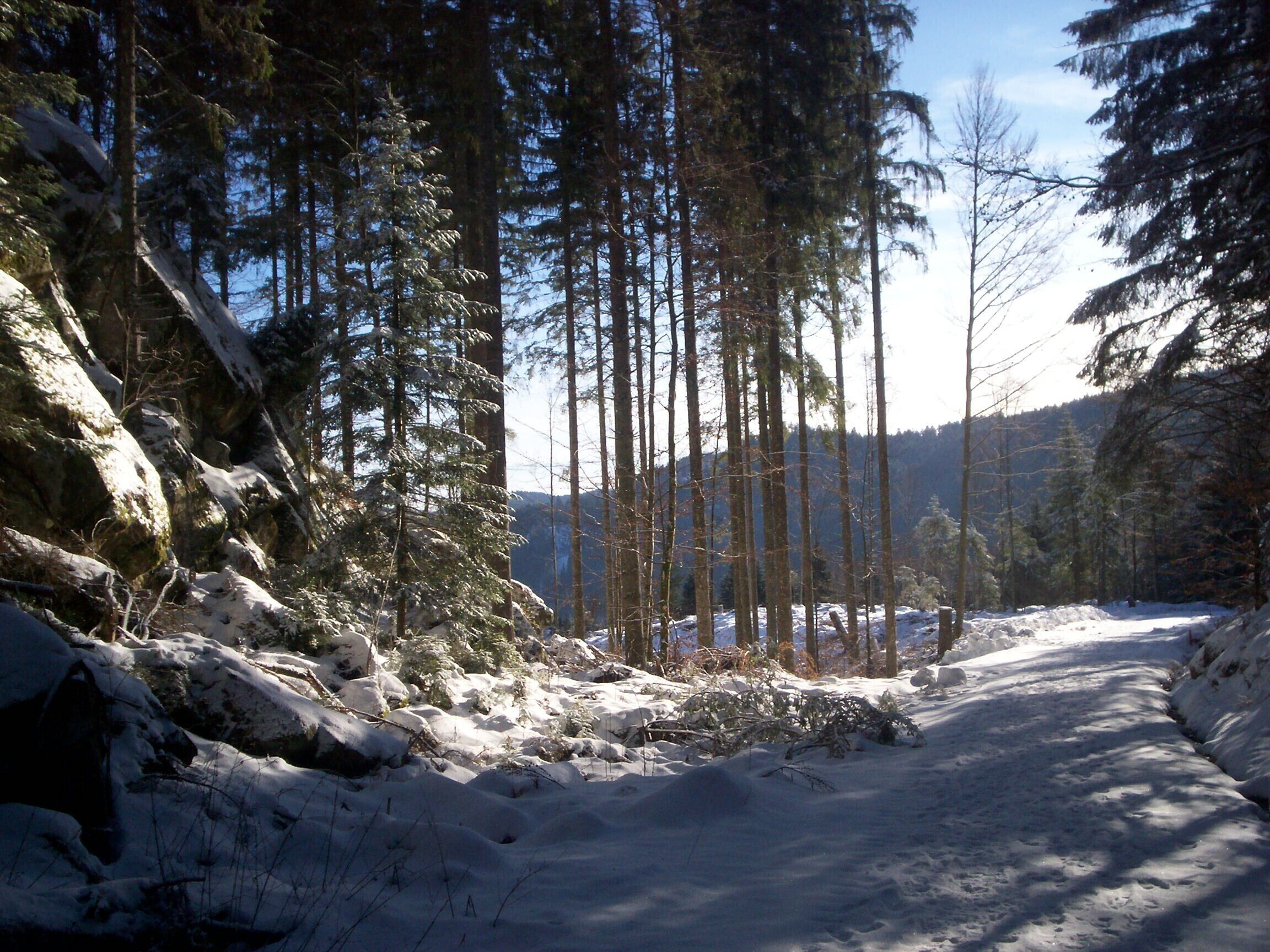Eksteriør