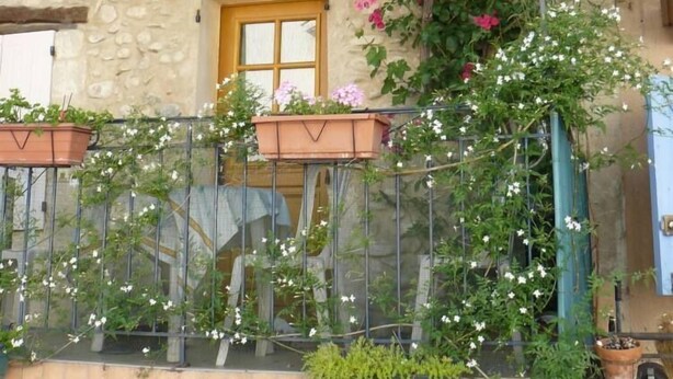 Un edificio de piedra con balcón, plantas en macetas y enredaderas con flores.