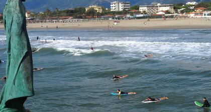 Quiet and surrounded by bright green two steps from the sea