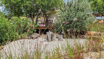 Ărea da propriedade