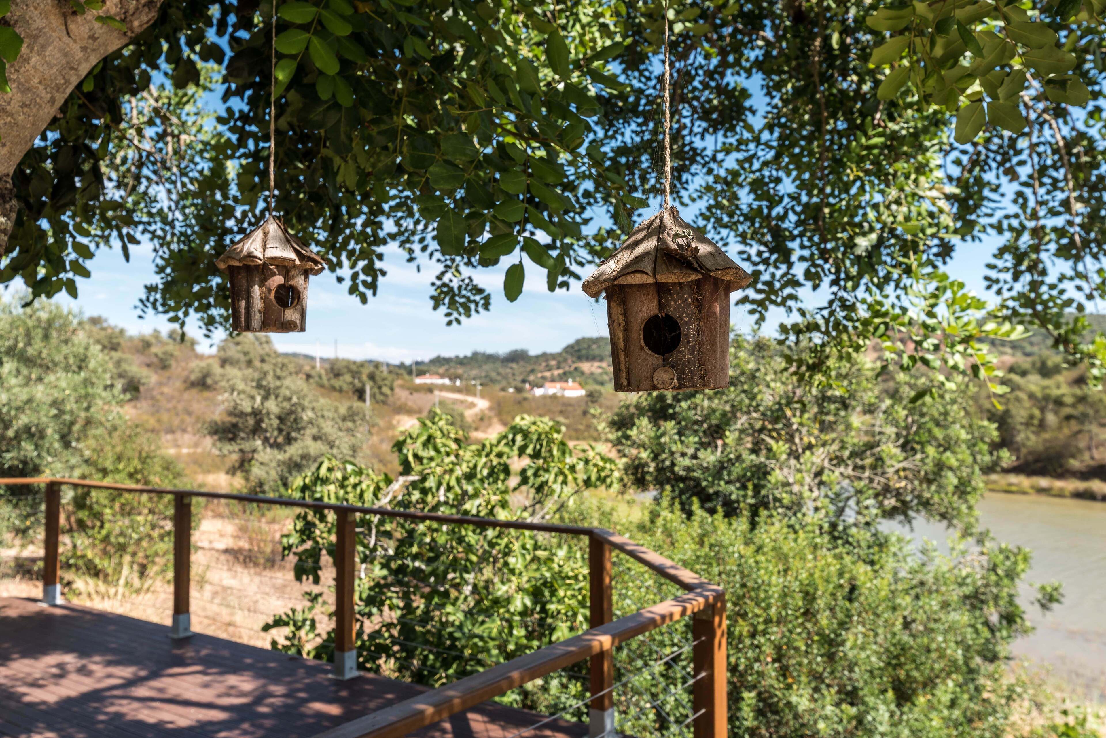 A wooden deck with a railing overlooking a river and trees.