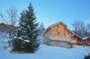 Exterior - Chalet Phoenix 150m² 12/14 pers. 5 bedrooms/5 bathrooms Fireplace Sauna 300m from the slopes (Aime-La-Plagne)