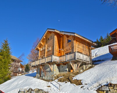 Chalet Phoenix 150m² 12/14 pers. 5 bedrooms/5 bathrooms Fireplace Sauna 300m from the slopes