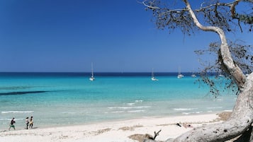 Playa en los alrededores