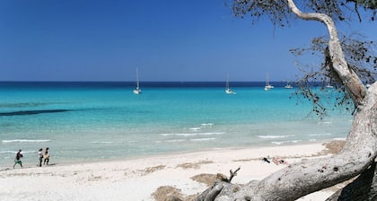 casa / villa - SAINT FLORENT