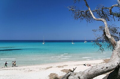 house / villa - SAINT FLORENT