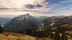 A mountainous landscape with a prominent peak, dense forest, and a clear sky.