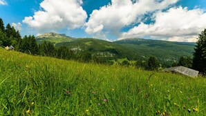 A grassy field with a mountain range in the background.