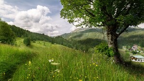 A mountainous landscape with a large tree in the foreground, a grassy meadow, and a small building with a green roof in the background.