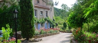 Dog friendly woodland paradise with heated pool.