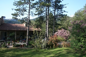 Exterior - Dog friendly woodland paradise with heated pool. (Saint-Étienne-De-Gourgas)