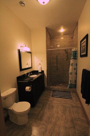 Chuveiro, secador de cabelo, toalhas de banho, sabonete