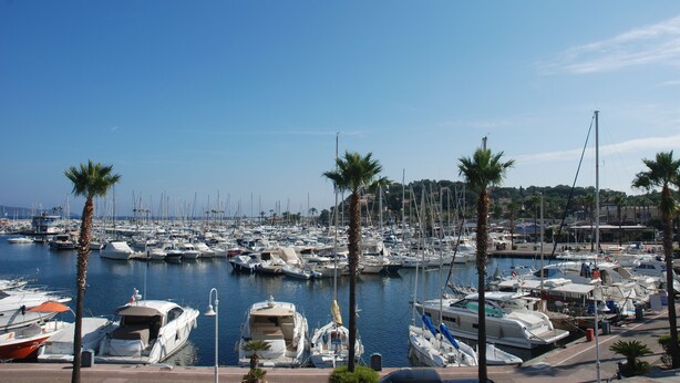 A marina with numerous boats docked, surrounded by palm trees and a clear blue sky. - Luxury  apartment  in an Art Nouveaux House Cavalaire Sur  Mer, near St Tropez (Cavalaire-Sur-Mer)