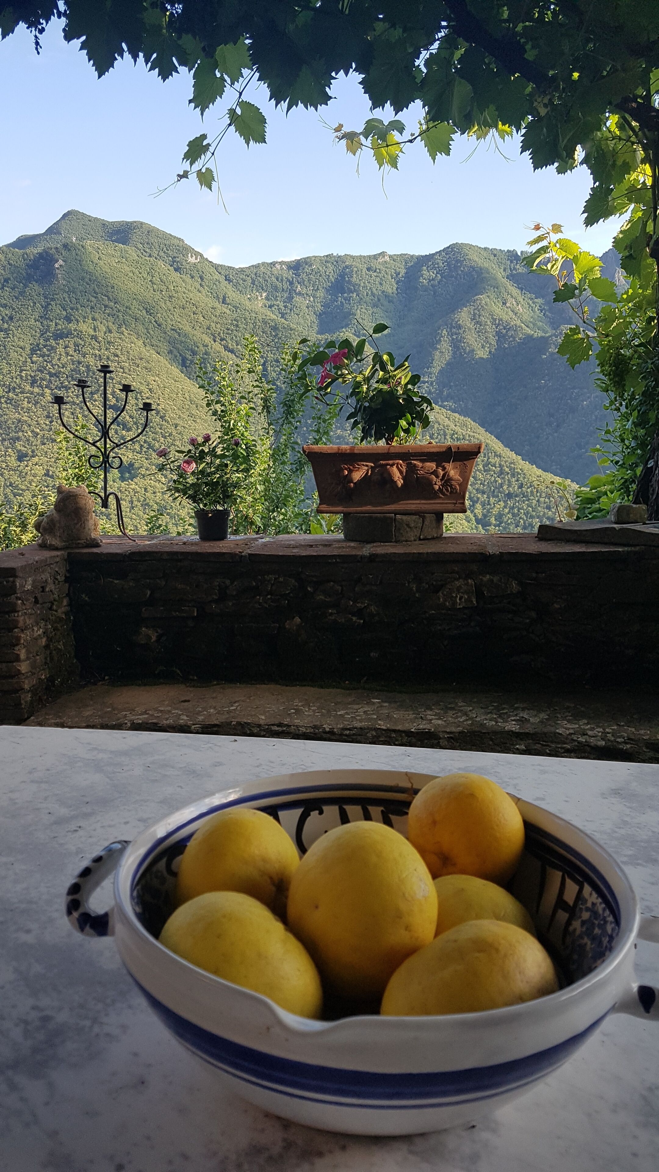 A bowl of lemons on a table with a view of mountains and a candelabra in the background.