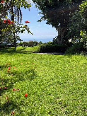 Property grounds - Apartment in country house with tropical garden and pool 2 bedrooms (Guia de Isora)