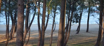 classified rental 2 stars 150 meters from the beach