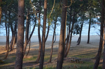 classified rental 2 stars 150 meters from the beach