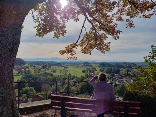 Ferienhof Metzler Fewo Quitte or Mirabelle