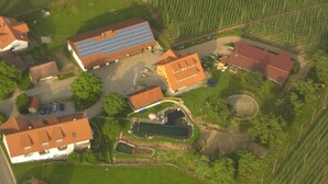 Eksteriør