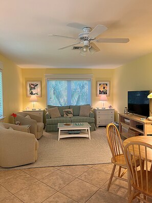 Smart TV, books, video library
