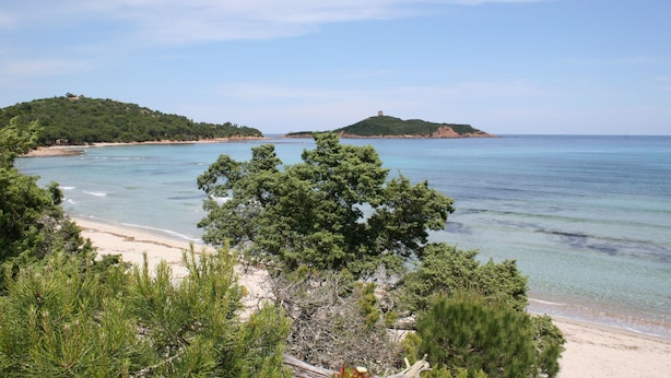A coastal landscape with a beach, clear waters, and lush greenery. - Brand new villa with secured pool, panoramic view of sea and mountain, quiet (Zonza)