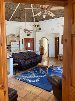 TV, fireplace, DVD player, books