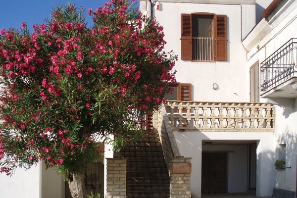 Front of the house (flat is bottom right)