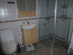 淋浴設備、按摩浴缸、番梘、廁紙