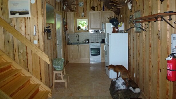 Une cuisine rustique avec des murs en bois, un réfrigérateur blanc, une cuisinière et un évier. Un renard est assis sur un rocher près de l’évier.
