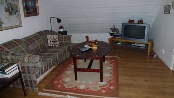 TV, fireplace, DVD player, video library