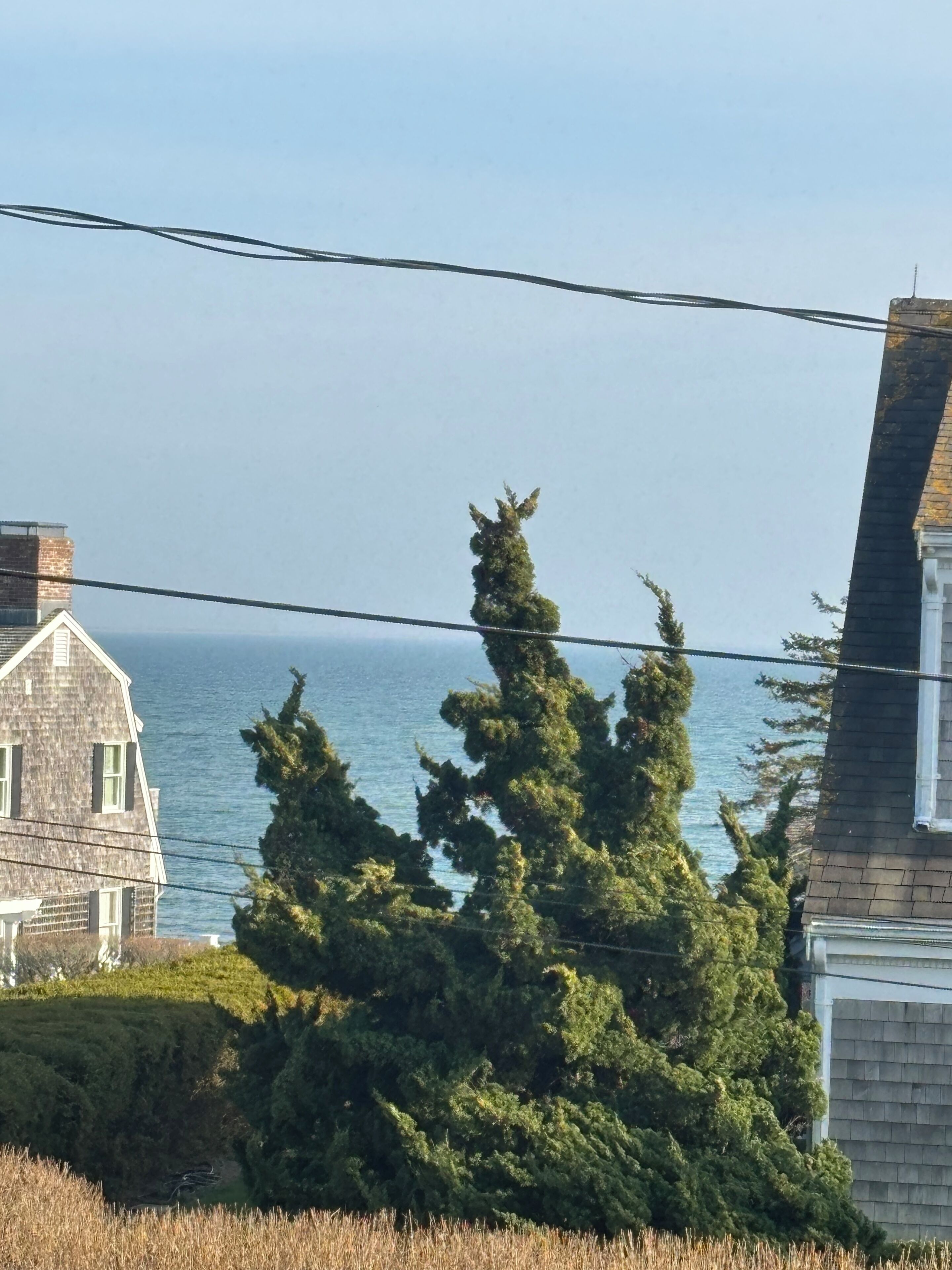 A coastal house with a view of the sea, surrounded by trees and a clear sky.