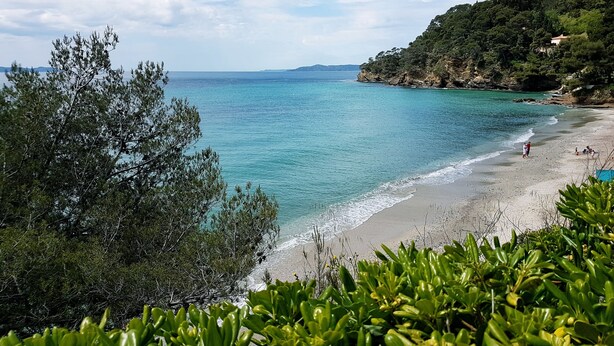 Ein Strand mit klarem türkisblauem Wasser, einem sandigen Ufer und üppiger Vegetation im Vordergrund.