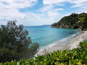 A beach with clear turquoise water, a sandy shore, and lush greenery in the foreground.